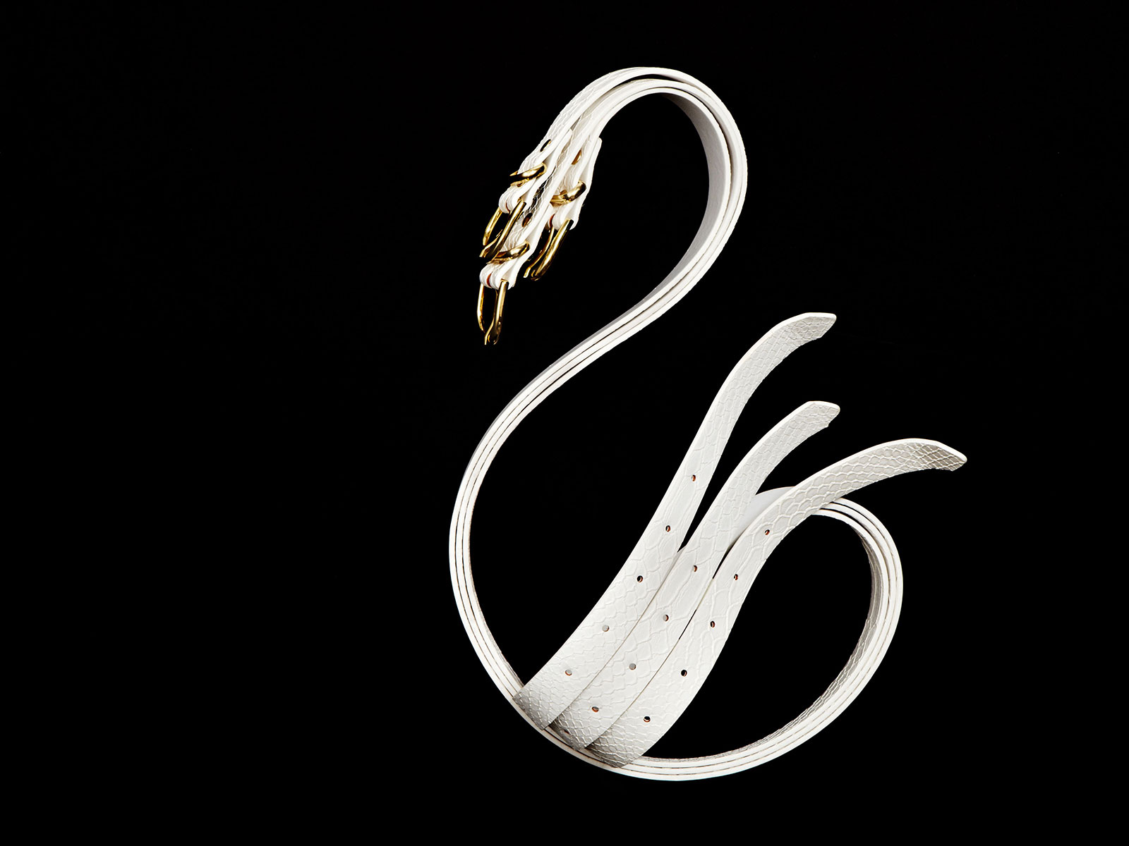 PRODUCT — photo 07